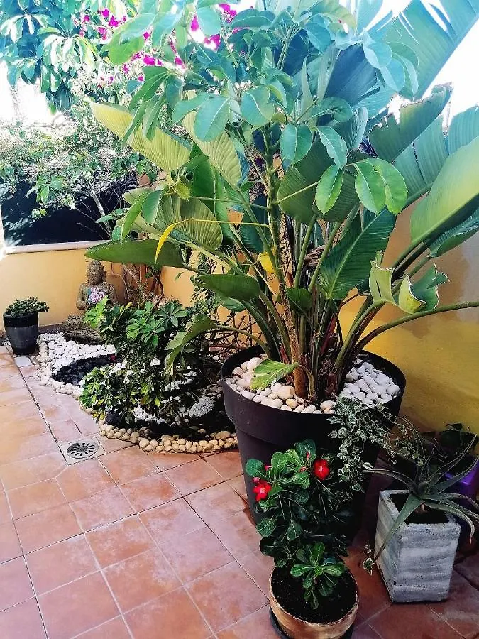 Vivienda Vacacional Vaiana Las Rosas  Appartement Las Rosas (Arona, Tenerife)
